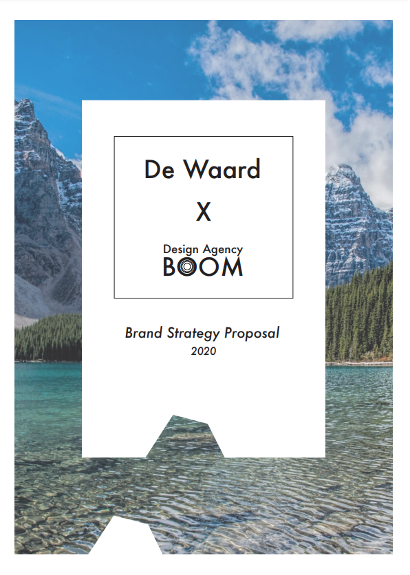 Conceptual BOOM Design for De Waard