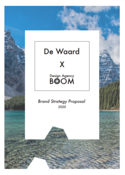 Conceptual BOOM Design for De Waard