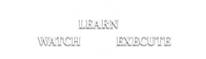 watch learn execute